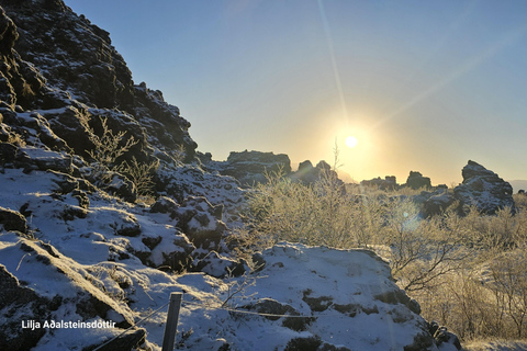 Akureyri: 4-Day Knitting Tour with the locals