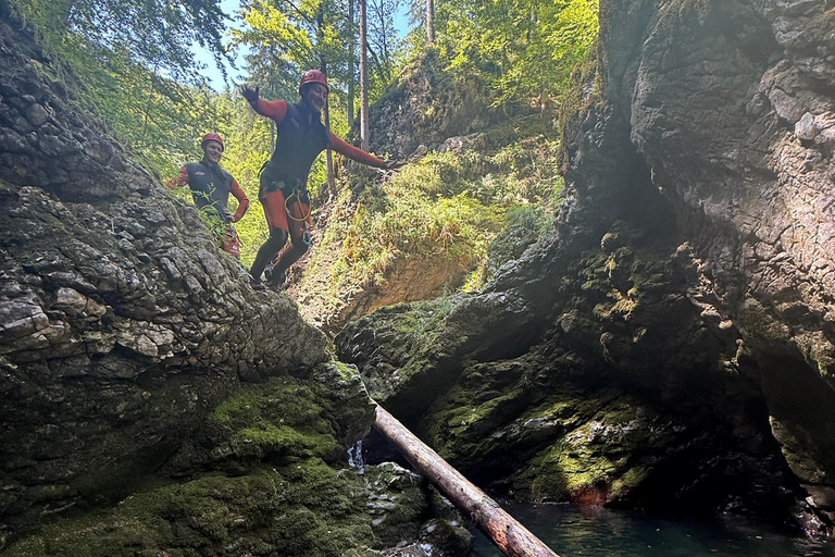 Bled: Adventure Canyoning tour Grmecica