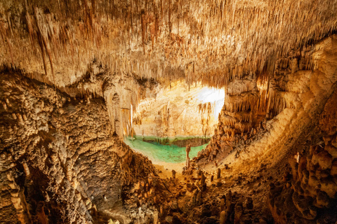 Mallorca: Tour privado - Cuevas, Playas y Vinos