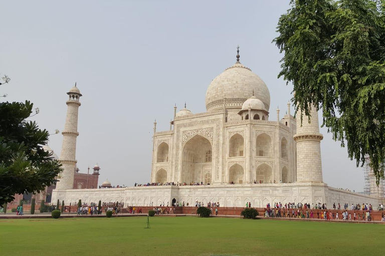 Tour Taj Mahal-Agra Fort &amp; Bazar con guida privata giapponeseTour guidato con macchina