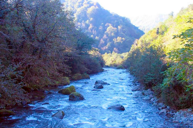 From Batumi: Mtirala National Park Guided Hike, Cable Car