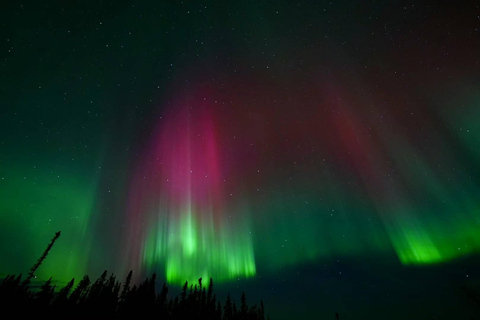 Fairbanks Aurora Camp: Mountaintop 360° Alaskan Cabin