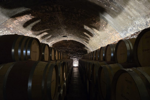 Milan: Barolo Vineyards & UNESCO Wine Cathedral Experience