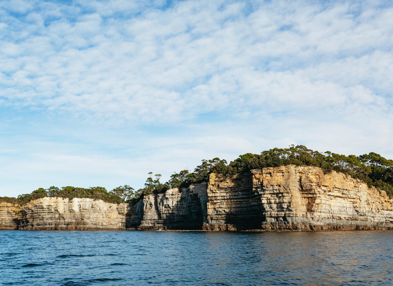 Fra Port Arthur: Tasman Island krydstogt i vildmarken