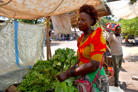 Mto wa Mbu: Waterfall, Maasai Boma, Village, & Balaa Hill Mto wa Mbu Tour & Canoe Ride on Lake Manyara