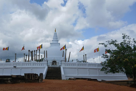 From Colombo/Negombo to Anuradhapura Day Tour with Mihintale