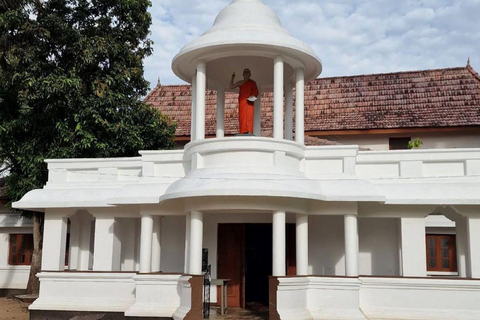 Negombo in scooter: scopri i posti migliori della cittàNegombo in scooter: scopri i luoghi più belli della città