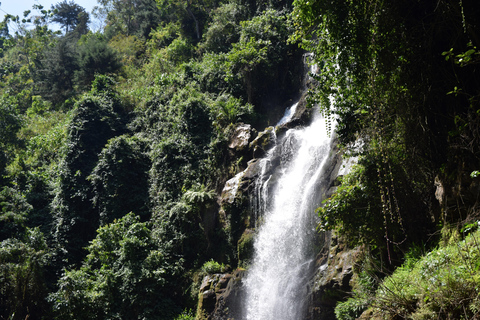 Moshi: Pernoita na aldeia de Chagga com opções para o segundo diaPasseio de um dia à aldeia Chagga e ao Kilimanjaro