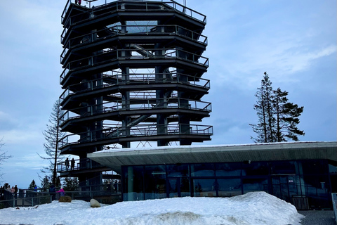 Von Krakau aus: Slowakische Baumkronenwanderung und Zakopane TourTour mit Abholung am Treffpunkt