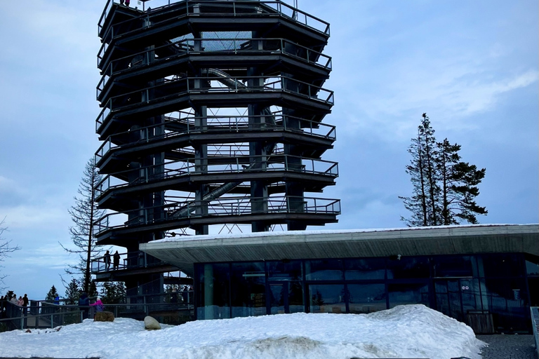 Von Krakau aus: Slowakische Baumkronenwanderung und Zakopane TourTour mit Abholung am Treffpunkt