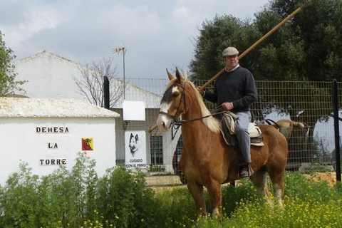 Seville: Bull Ranch, Winery & Rábida Monastery Tour