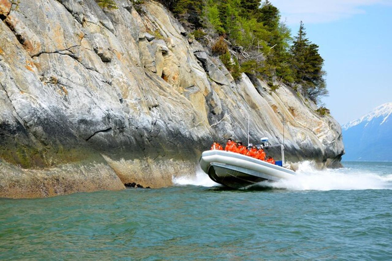 Skagway: Ocean Raft Adventure Along Scenic Coastline