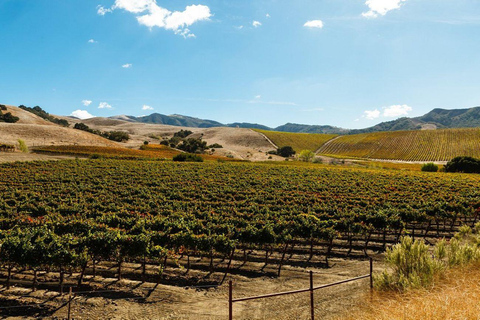 Vallée de Santa Ynez : Tournée des vins inspirée du film Sideways