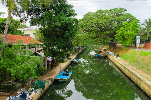 Negombo City Tour : Fish Market and Dutch Canal Boat Ride