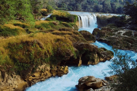 Palenque: tour delle cascate di Roberto Barrios