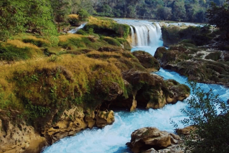 Palenque: Roberto Barrios Waterfall Tour