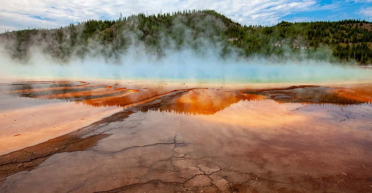 From Bozeman Yellowstone FullDay Tour with Entry Fee GetYourGuide