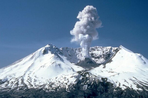 Från Portland: Utforska Mt Saint Helen i en liten grupp