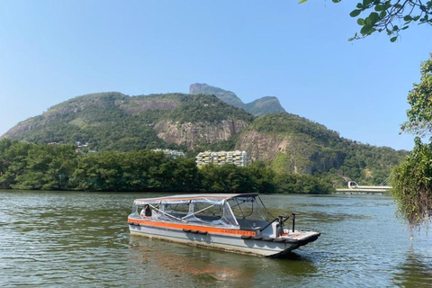 Rio de Janeiro: tour in barca della Laguna di Tijuca con fauna selvaticaRio de Janeiro: giro in barca sulla Laguna di Tijuca con fauna selvatica