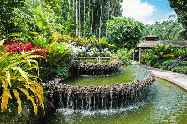 Singapore: National Orchid Garden Admission