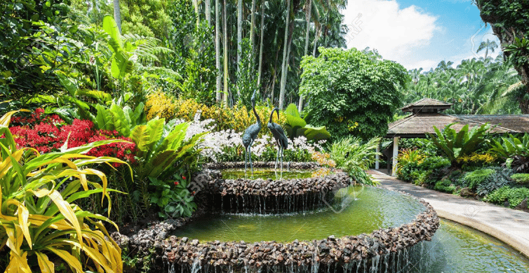 Singapore: National Orchid Garden Admission photo 7