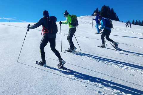 Escursioni con le racchette da neve con l&#039;Airboard FreerideEscursioni con le racchette da neve con Airboard Freeride