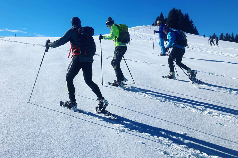 Raquettes à neige avec Freeride AirboardRandonnée en raquettes à neige avec Freeride Airboard