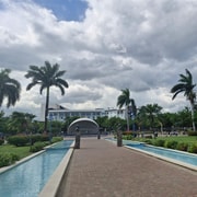 Kingston like a local – the authentic city tour!