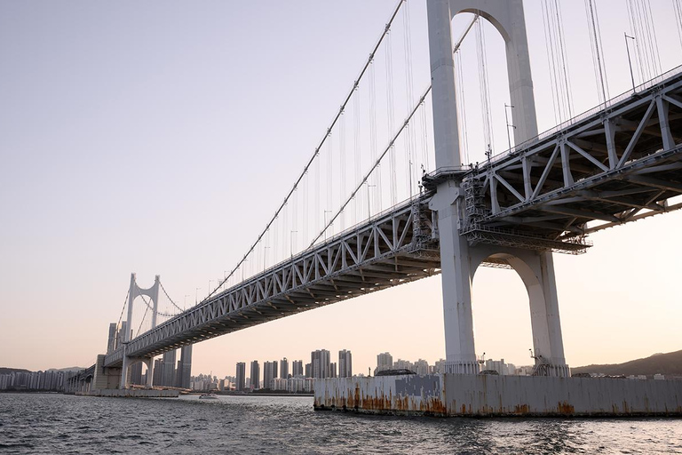 Busan: Private Photoshoot with Professional Photographer