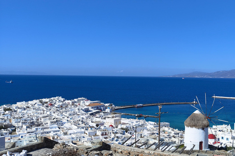 Mykonos Semi Privé Bustour in het Engels/Spaans