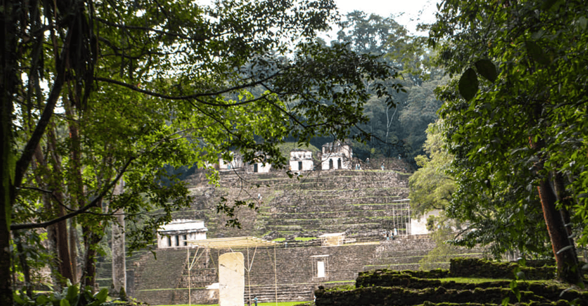 Palenque Archaeological Area and Roberto Barrios Waterfalls | GetYourGuide