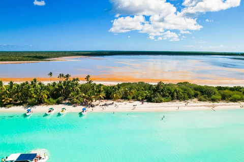 Punta Cana: VIP Private Speedboat Escape to Saona Island