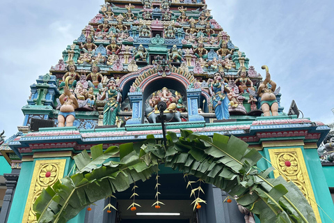 جولة بالسيارة في سنغافورة: الحي الصيني/حاجي لين/جو تشياتجولة خاصة لمدة 4 ساعات | جولة خاصة