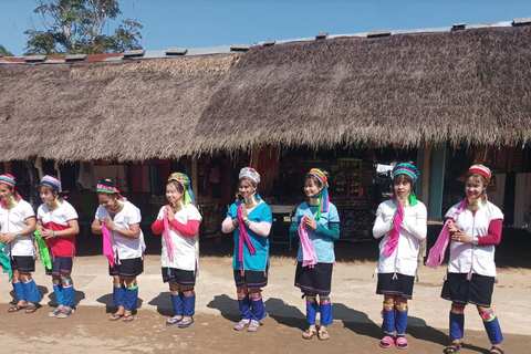 Explore the Chiang Rai and the Golden Triangle