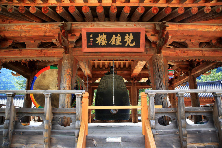 De Seul: excursão privada de um dia a Gangwondo - inglês ou espanholDe Seul: passeio privado de um dia a Gangwondo - inglês ou espanhol