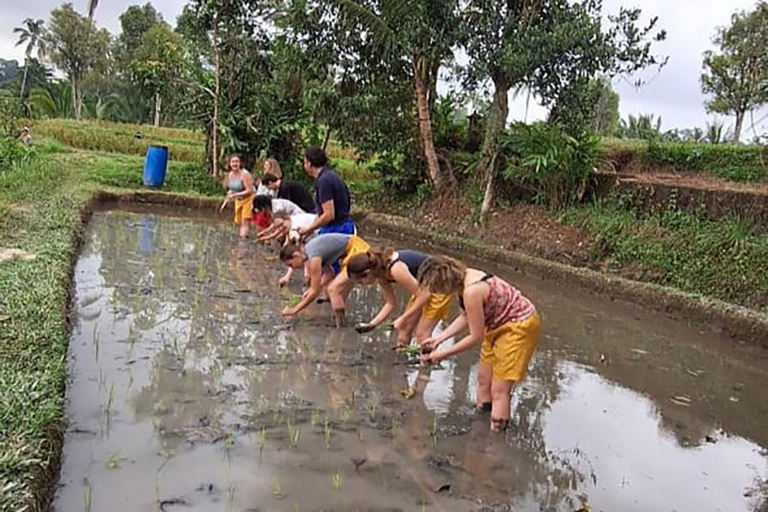 Bali: Making Canang, Sanskrit Lesson & Farming Village Tour Uma Anyar Balinese Village - Bali Traditional Tour