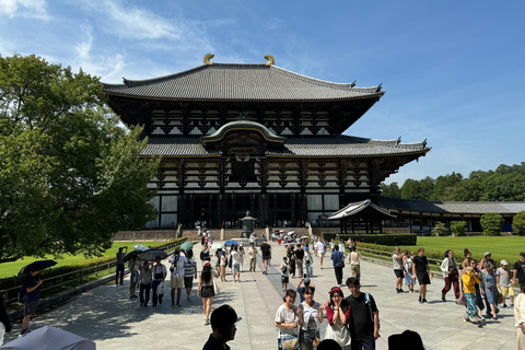 Nara: Excursão guiada a pé com o Grande Buda e os cervos (5h)