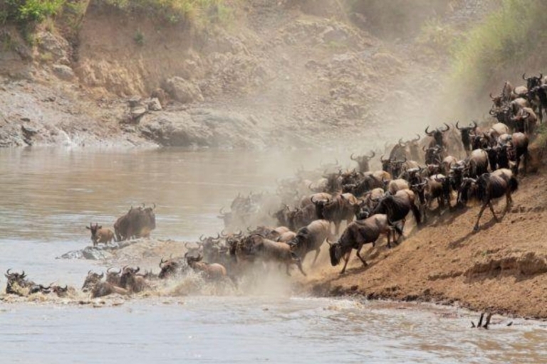 Kenia: 5 dni nad jeziorem Nakuru i Masai Mara