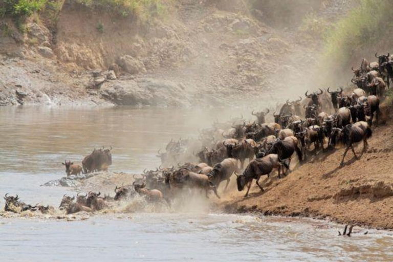 Kenya: 5 Days of Lake Nakuru & Masai Mara