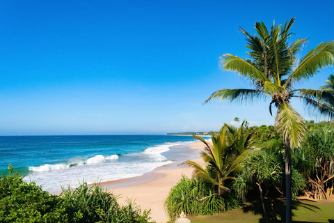 From Colombo: Mangroves, Turtles & Golden Shores