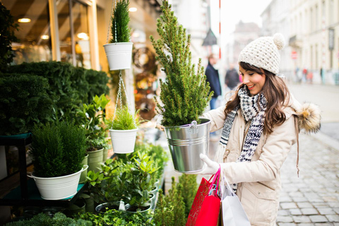 Christmas Experience in Ghent – Walking Tour