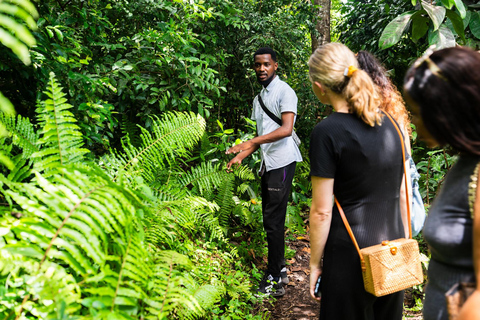 Secret Beach, Kuza Cave and Jozani forest with transfer