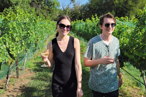 Sedona: Private Wine Tasting Tour with Lunch and Tastings