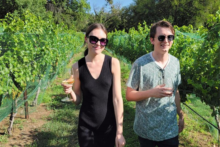 Sedona: Private Wine Tasting Tour with Lunch and Tastings