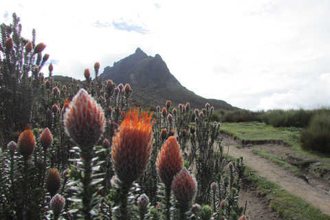 Quito: Ruco Pichincha Volcano Hike with Cable Car Ride