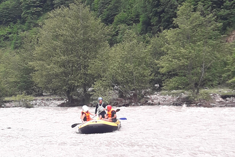 Privat guidad heldagstur till bergen Gudauri och Kazbegi