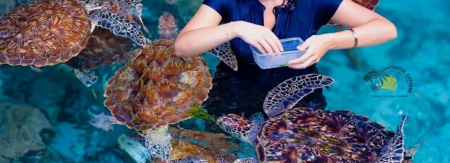 Zanzibar : forêt de Jozani et grotte de Salaam, excursion pour observer les tortues de mer