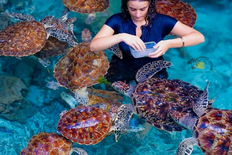 Zanzibar: Jozani Forest & Salaam Cave Sea Turtles Swim Tour Hotel Transfer Anywhere in Zanzibar