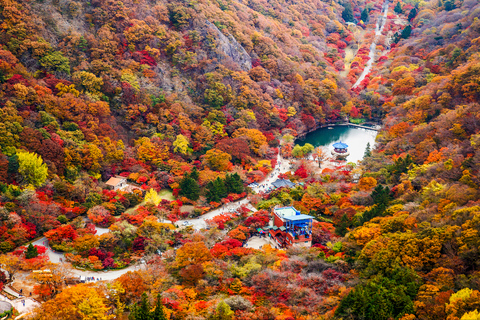 Seúl: Parque Nacional Naejangsan, tour de un día para ver el follaje otoñalVisita compartida a Naejangsan, encuentro en la estación de Myeongdong
