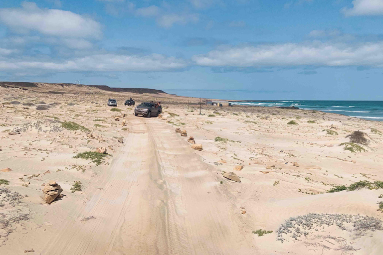 Wyspa Boa Vista: Całodniowe odkrywanie z północy na południeCałodniowa wycieczka po wyspie Boa Vista